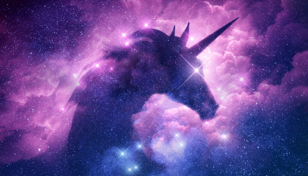 Full Time Unicorn